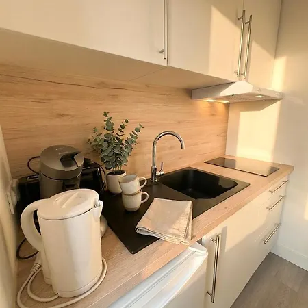 Apartment De Charme Au Coeur Du Vieil